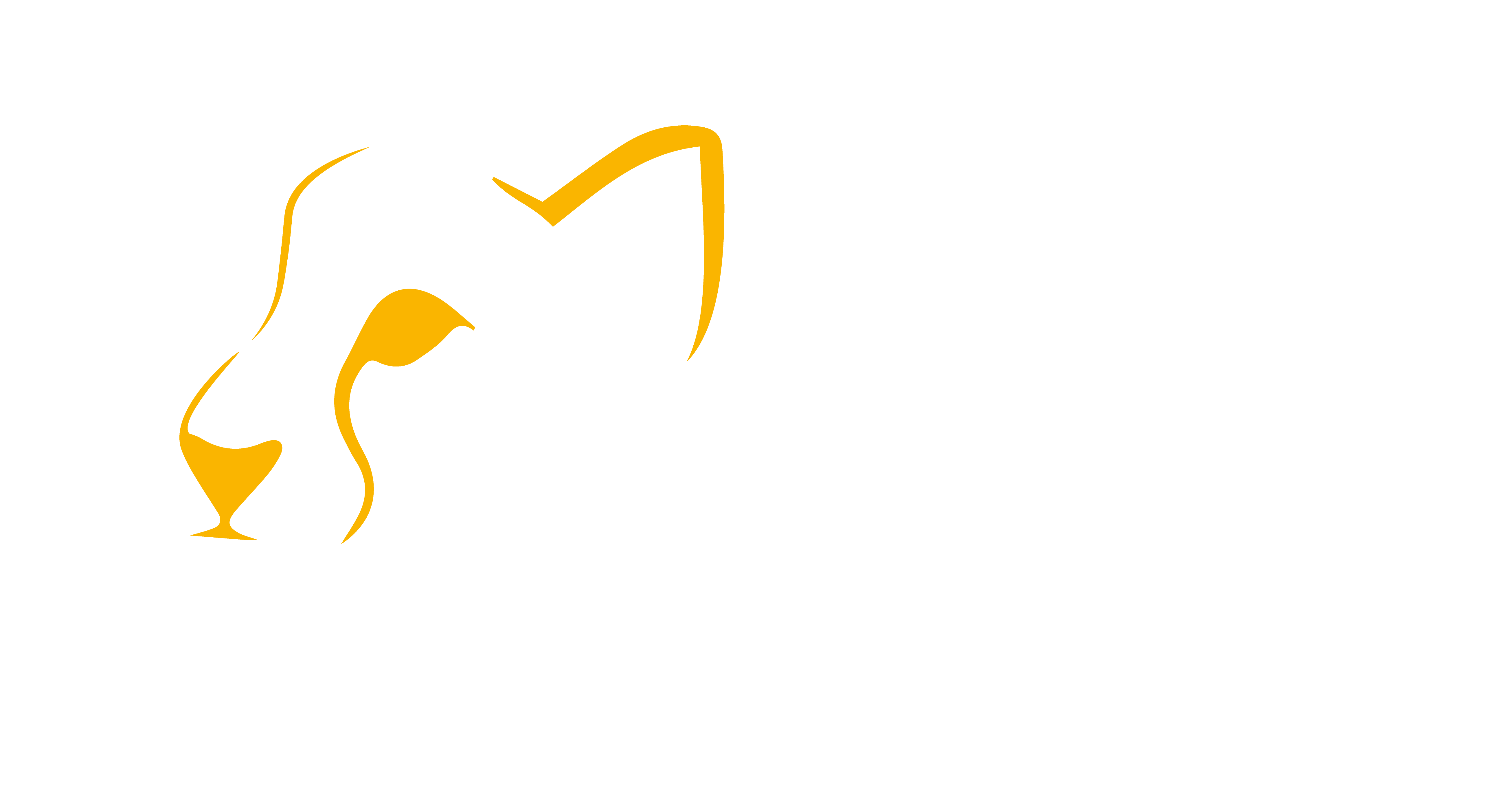 Logo is present